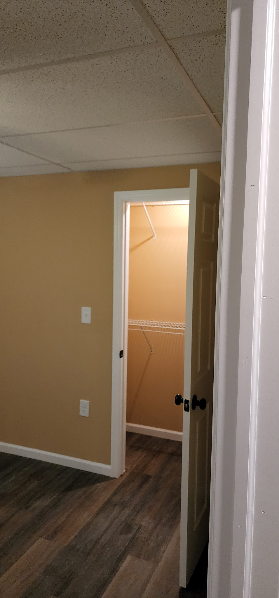 Basement bedroom with walk-in closet and new LVP flooring