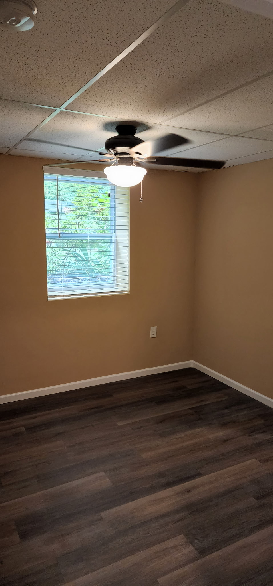 Finished basement room with natural light and LVP flooring